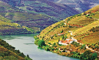 Enchanting River Douro