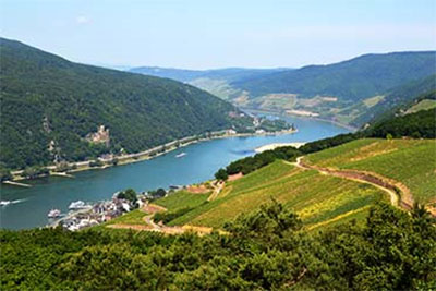 The Majestic Rhine